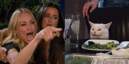 Woman Yelling at Cat